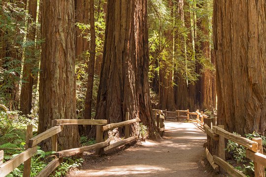 Tour image 1